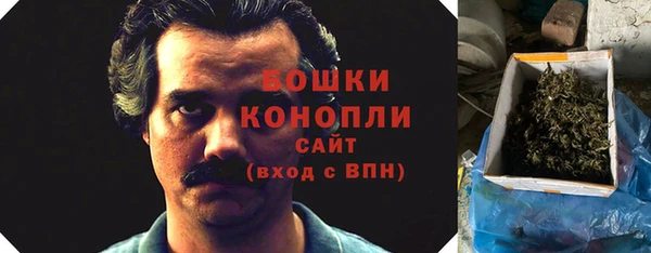 стафф Кодинск