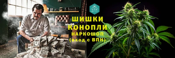 крисы Дубна