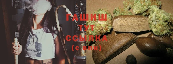 крисы Дубна